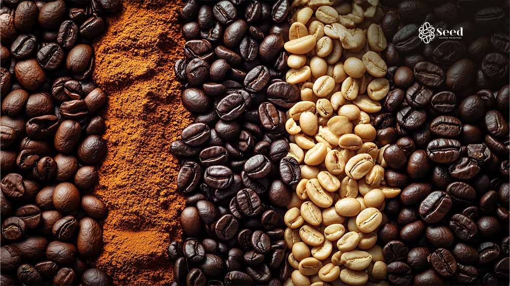 Coffee Bean