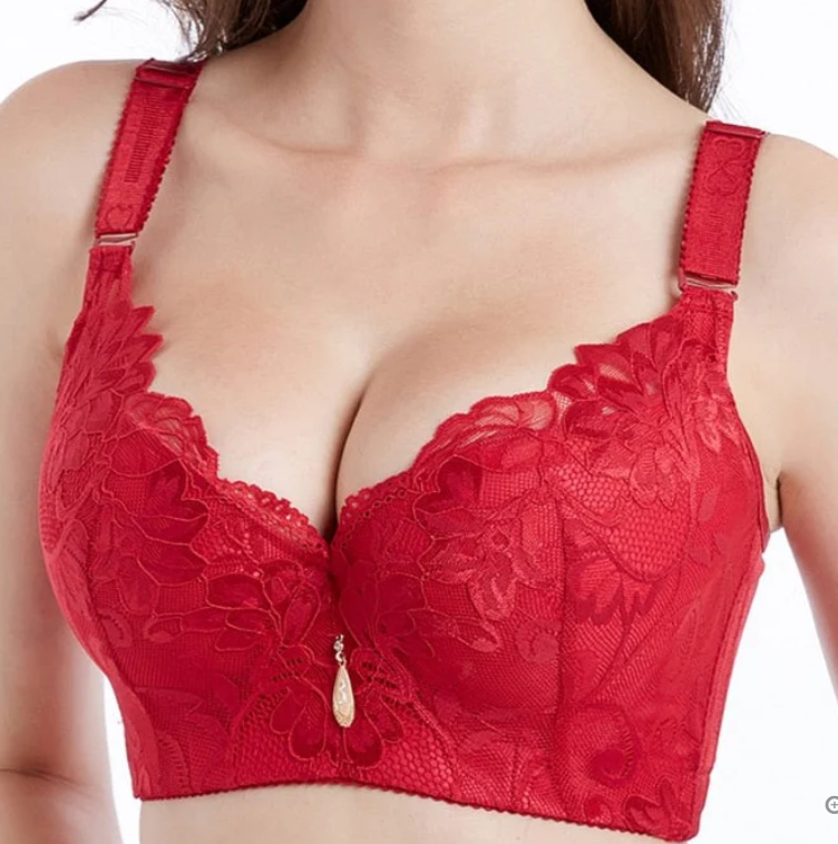 Jo- Push-Up Lace Bra (Test)