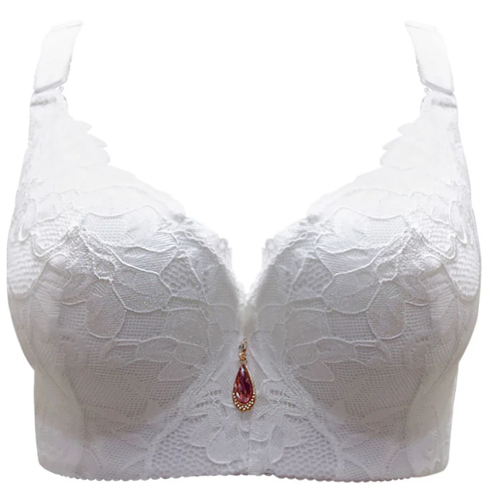 Jo- Push-Up Lace Bra (Test)