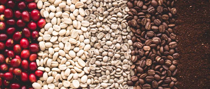 Coffee Bean