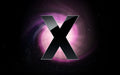 ITEM X